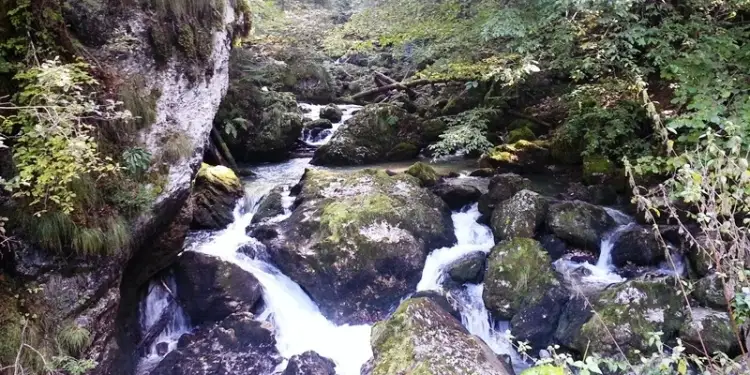 Padis: Circuitul Galbenei