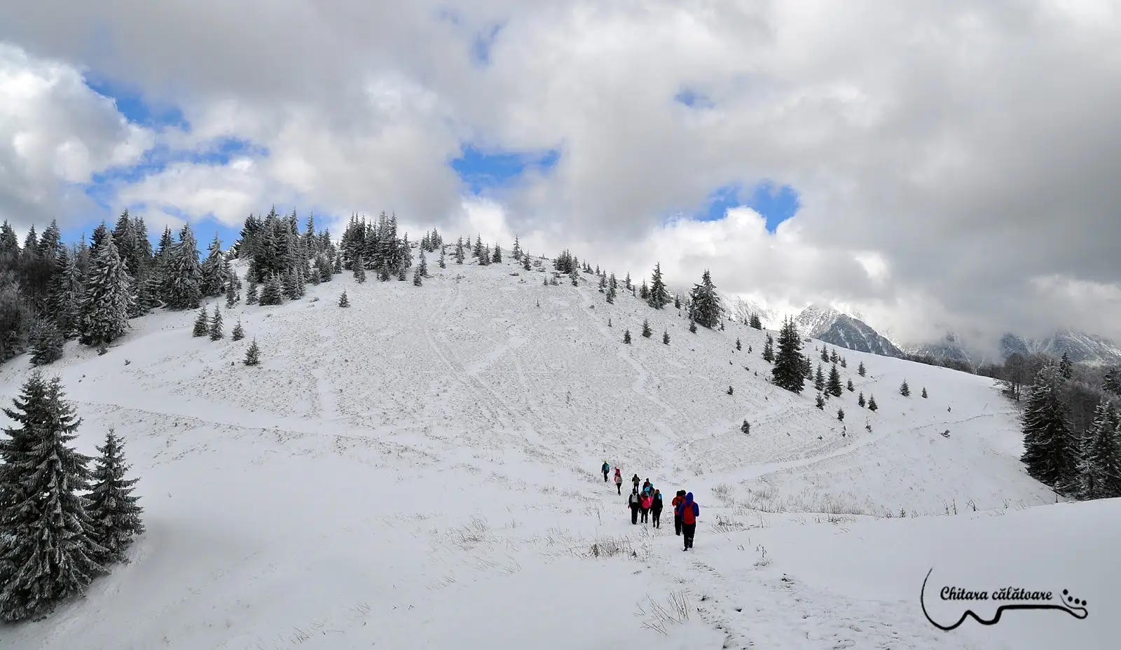 Gara Azuga - Vf. Grecului - Cabana Diham - Poiana Izvoarelor - Gura Diham - Gara Busteni