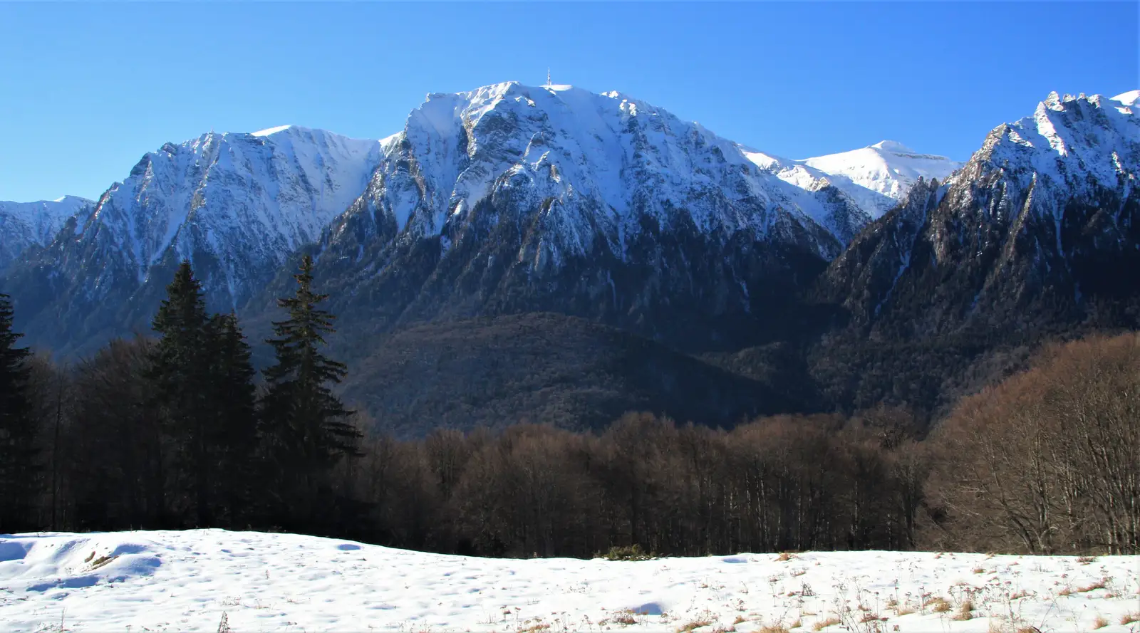 Busteni - Varful Grecului