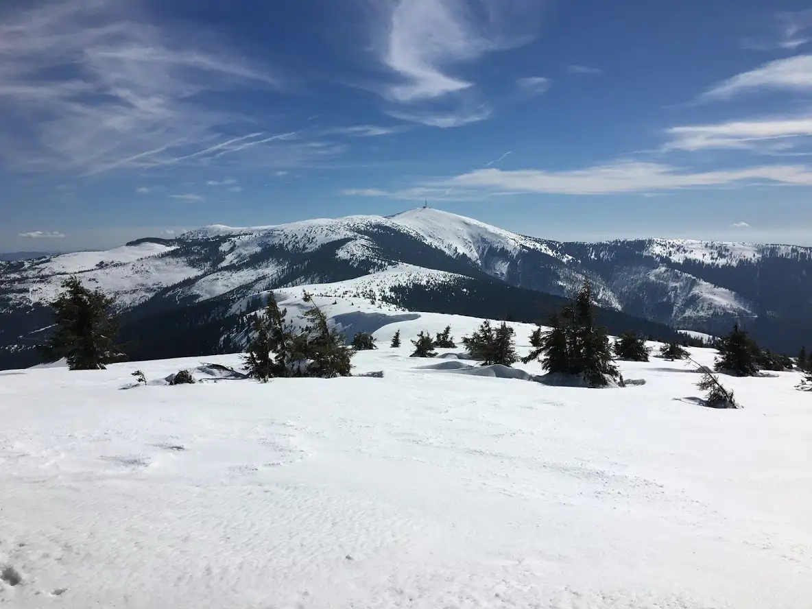 Vartop - Vf. Bihor( Curcubata Mare)