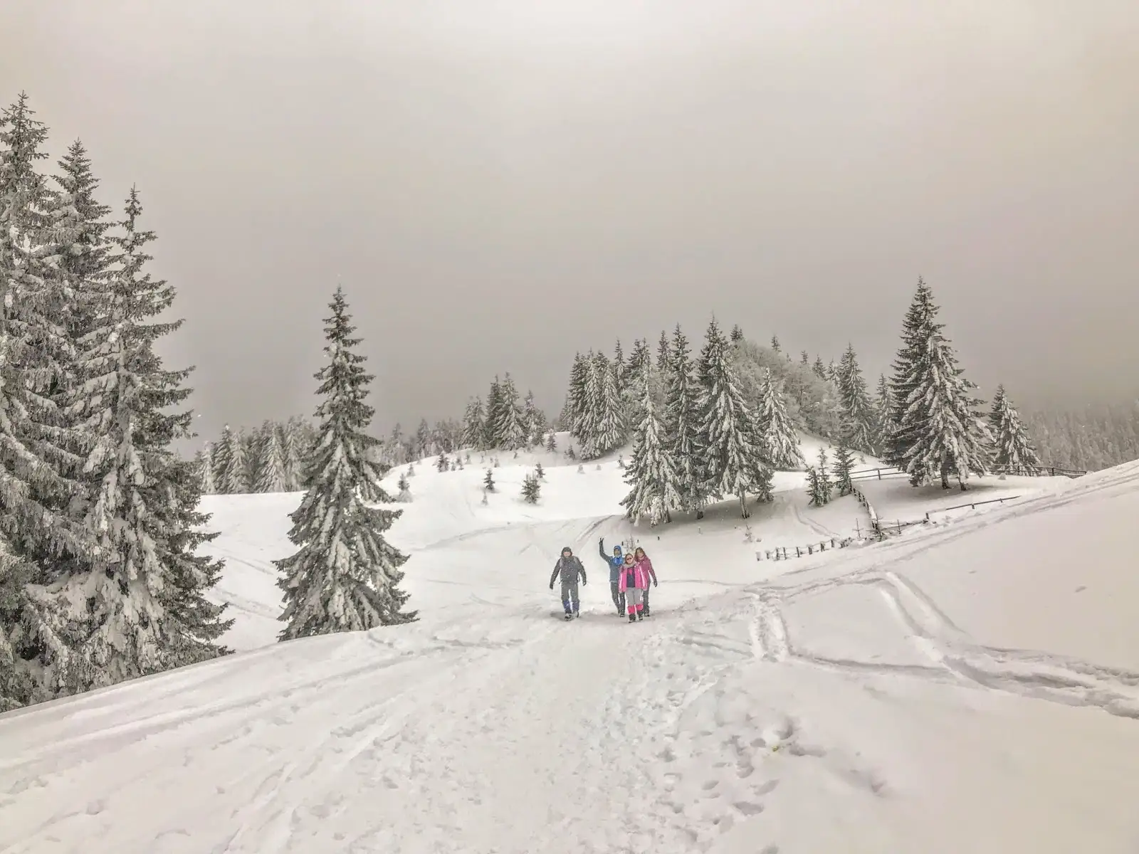 AMiHiKE - cabana Diham (iarna)