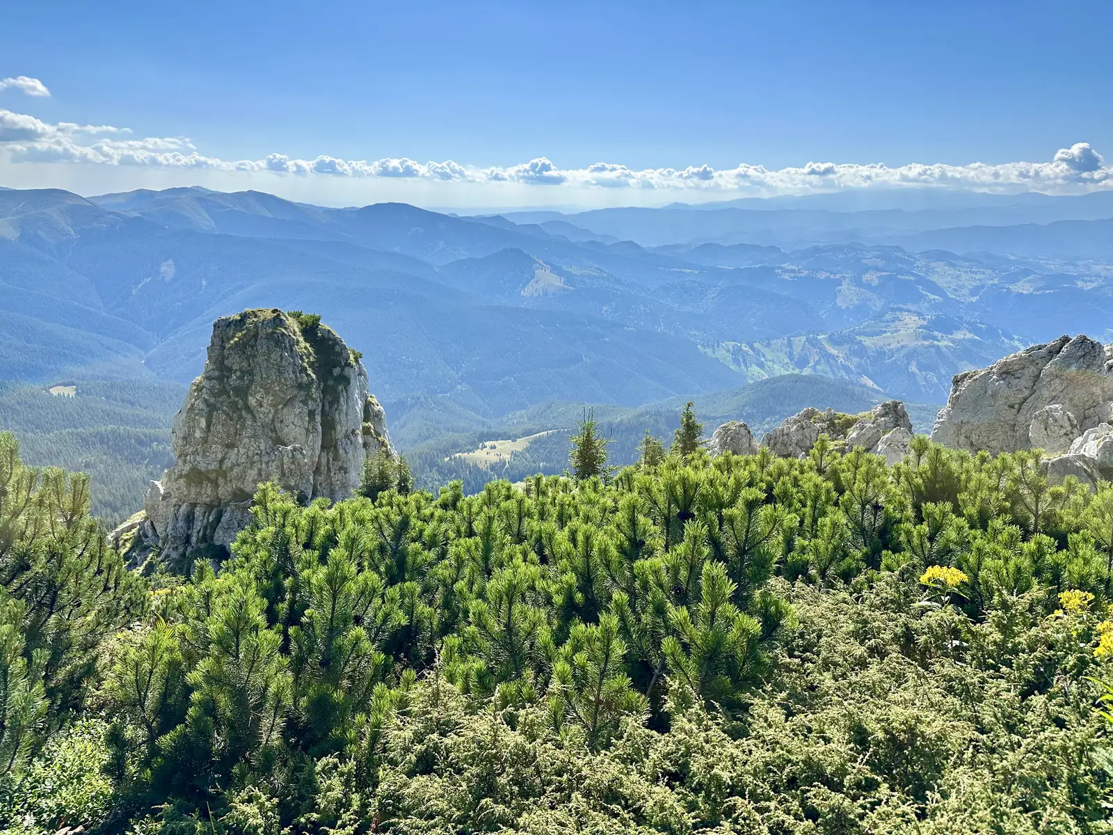 Moeciu de sus - Șaua Bătrâna - Șaua Strunga - Moeciu de sus