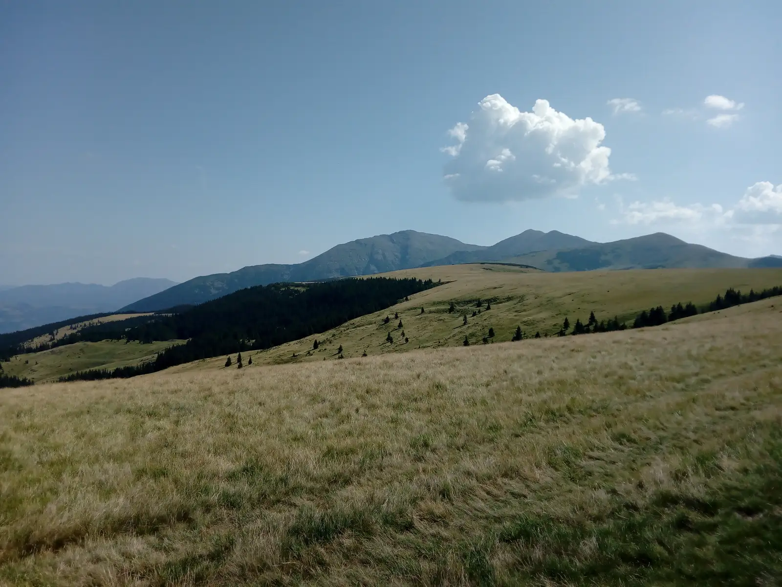 Valea lui Dragos - Pietrosu