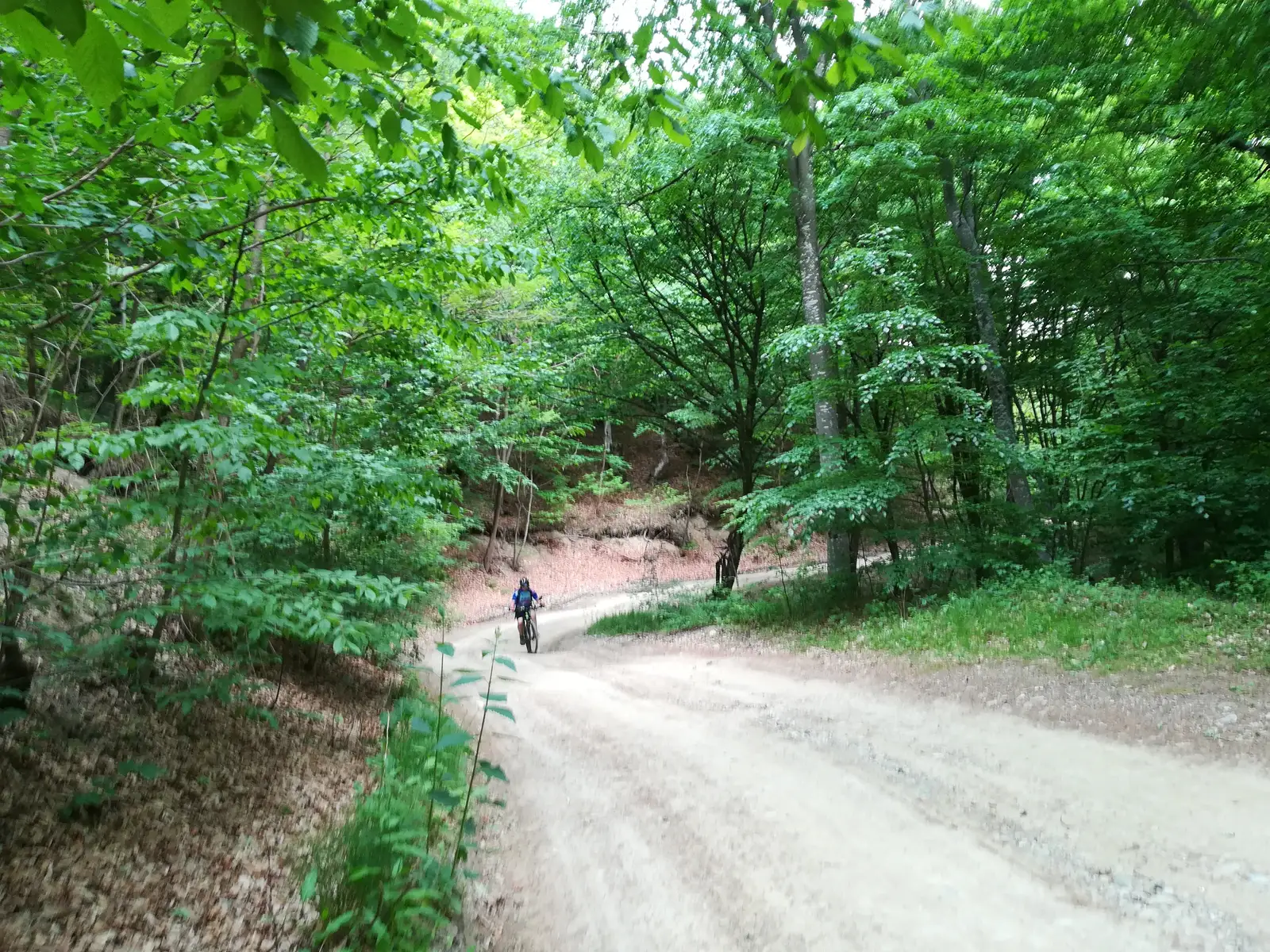 Tabara Roica - Teius - Tabara Roica