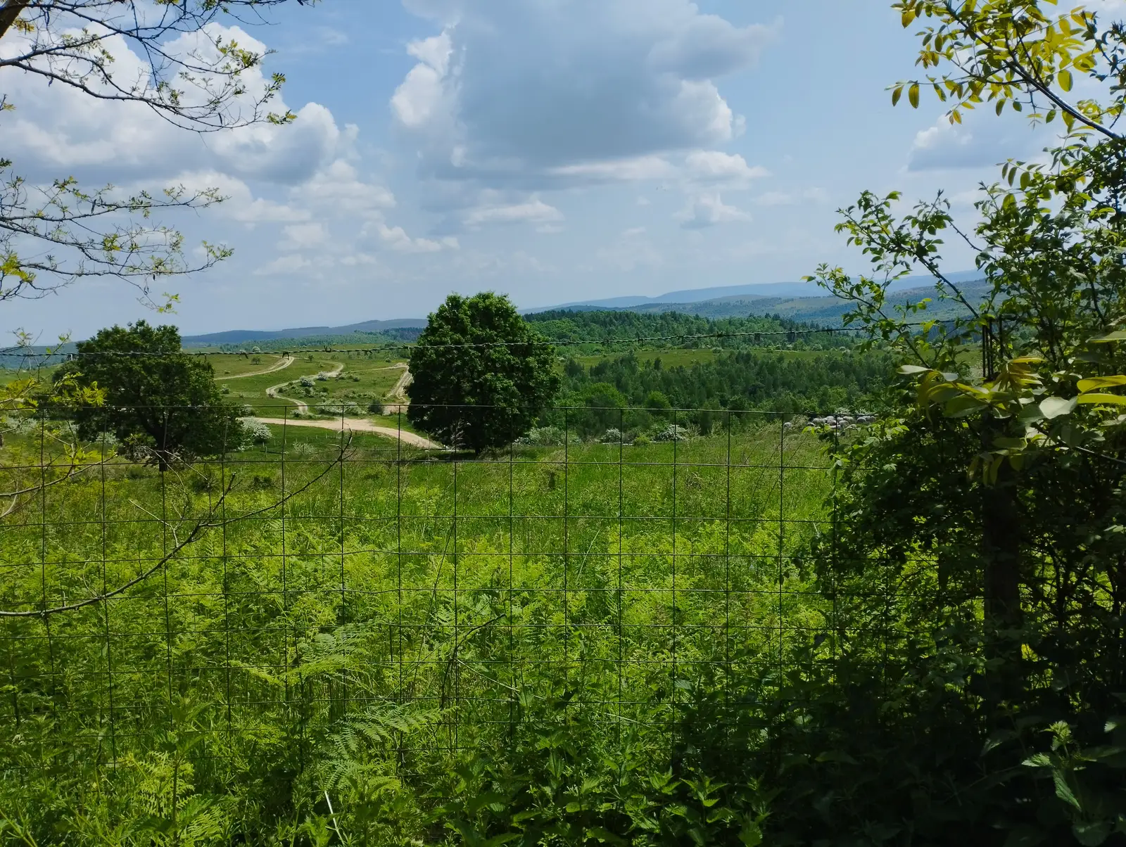 Vârful Peana cu bicicleta - 28.05.2023