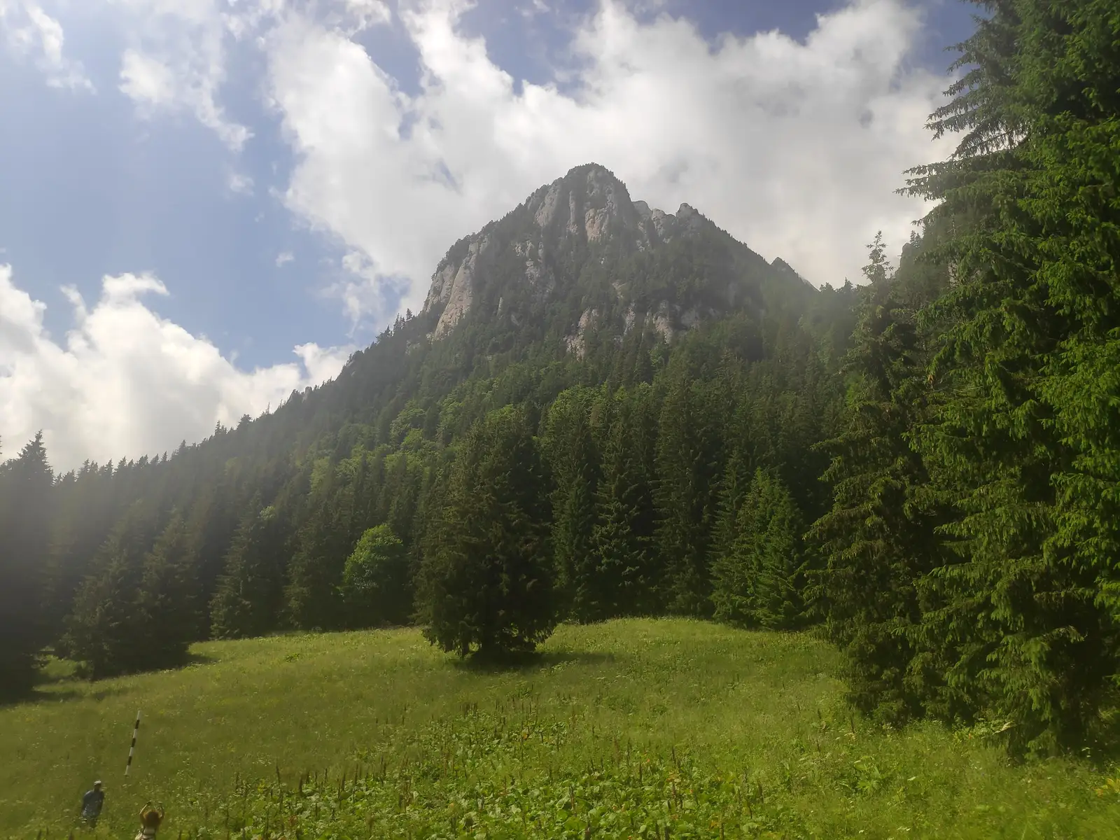 Bușteni - Poiana Coștilei - Poiana Văii Cerbului - Pichetul Roșu - Cabana Diham - Glăjerie - Poiana Izvorul Mălăiești - Râșnov