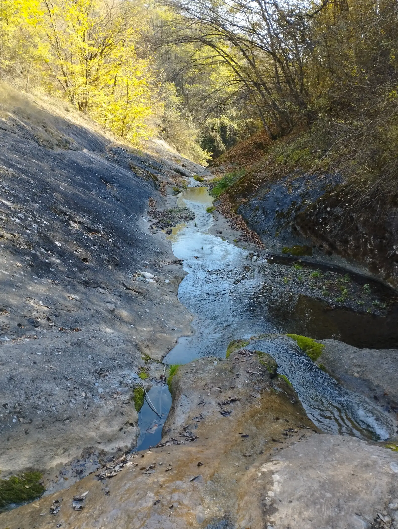 La Gavane 27.10.2024 - proiect.