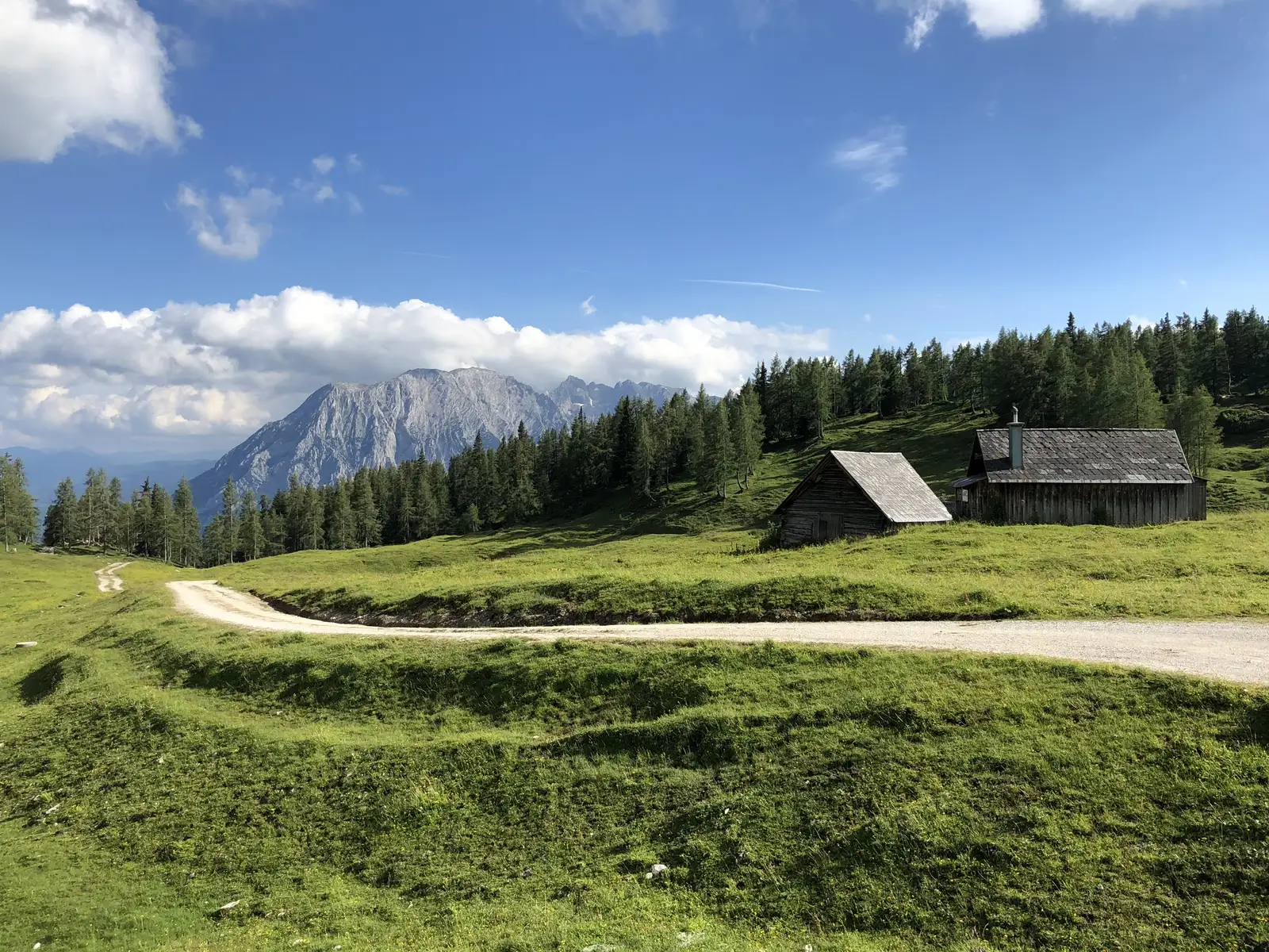 Cluj-Napoca (Auchan) - Sânmărtin - Cluj-Napoca (Auchan)