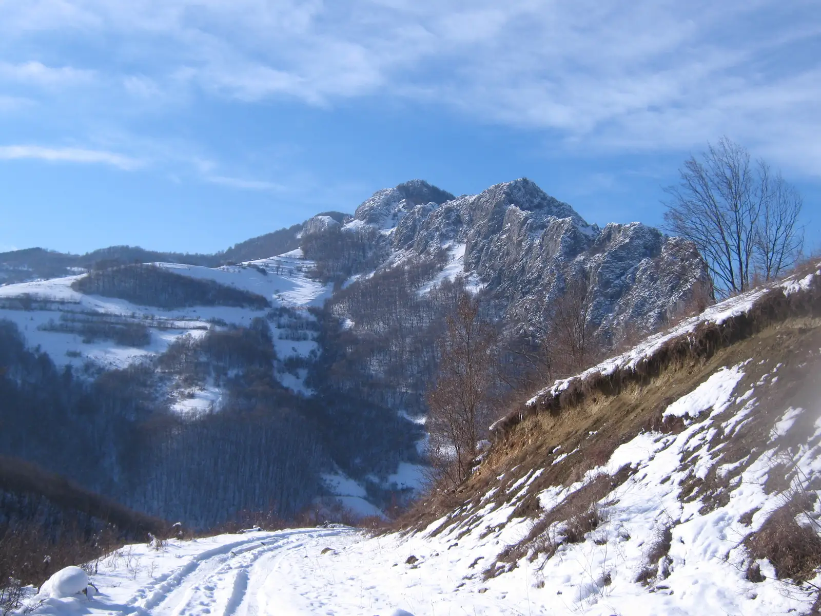 Circuit Valea Mănăstirii - Vf. Pleșii