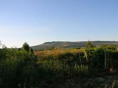 Sarata Monteoru - Dealul Ciuhoiu - Pietroasa Mica - Pietroasele - Dealul Viei - Gura Saratii - Sarata Monteoru