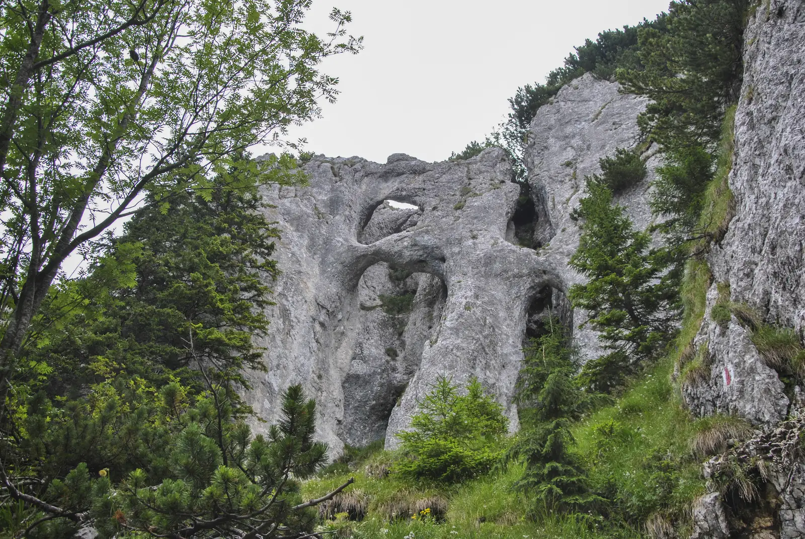 Cabana Plaiul Foii - La Lanţuri - Şaua Grindului