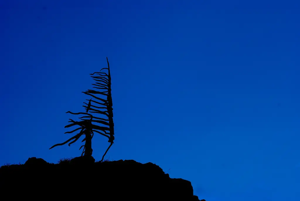 Ötscher - Rauher Kamm