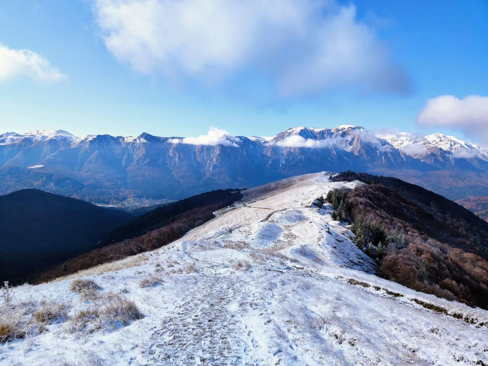 AMiHiKE - Sinaia -> Munții Baiului (Vf. Piscul Câinelui)