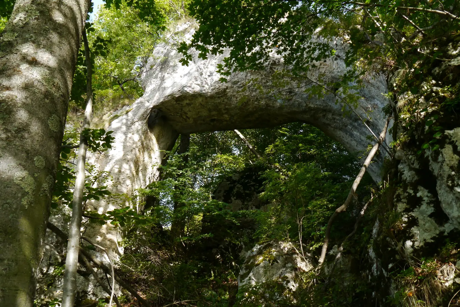 Salciua - Poarta Zmeilor - Platou Bedeleu - Vf. Ugerului - Salciua