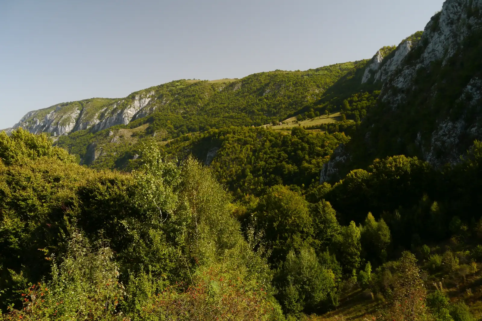 Colibele Dumești - La Rogoaze - Cheile Plaiului - Izvoarele - Cheile Bedeleului - La Rogoaze - Manastirea Sub Piatra - Dumesti