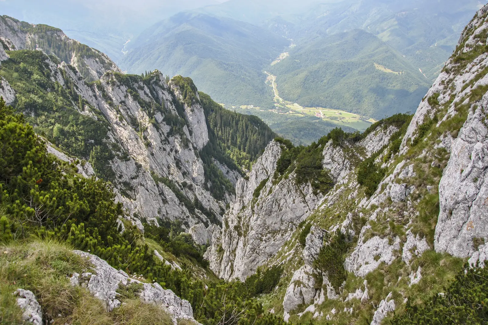 BA-Padina Şindileriei-Vf. Turnu