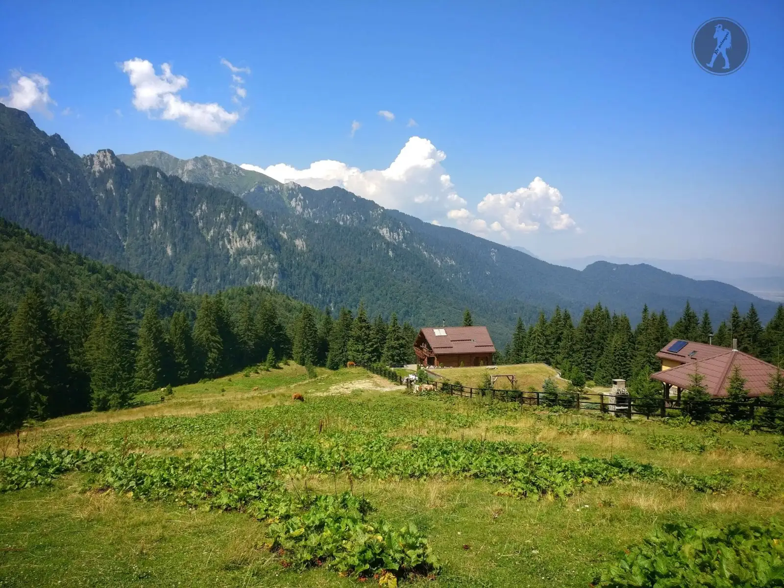 Bușteni - Gura Diham - Diham - Glăjărie - Cabana Mălăiești - Prepeleac - Pichetul Rosu - Poiana Costilei - Camin Alpin - Busteni