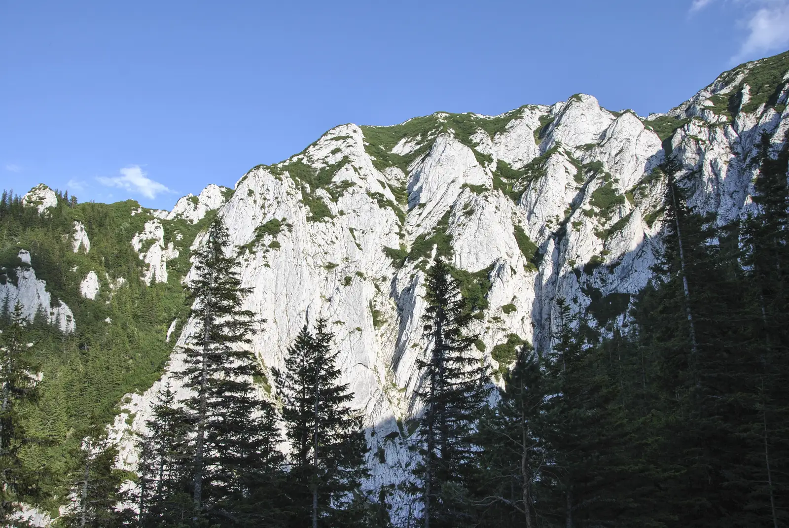 Zărneşti -Brâna Caprelor-Zărneşti