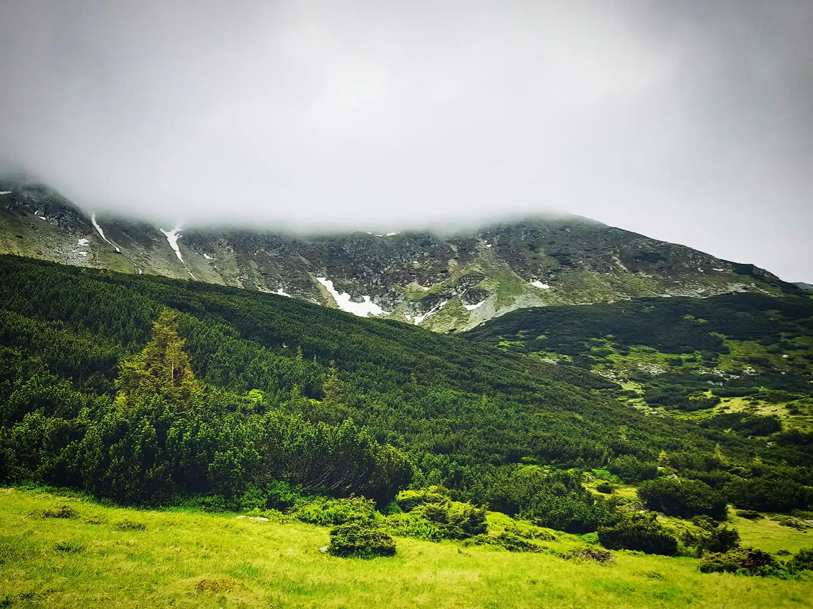Rodnei Sky Race - Traseul Galațului - 17Km 