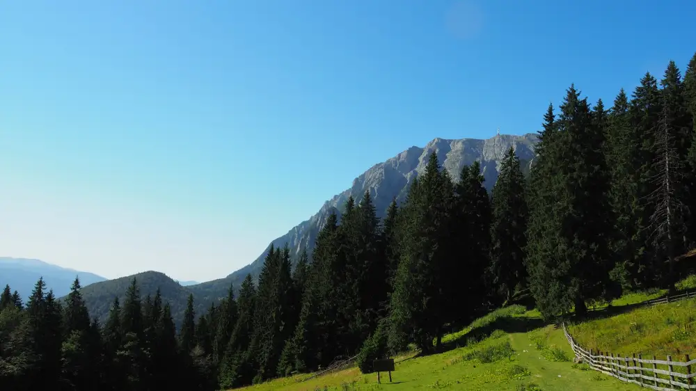 Diham - Gura Diham - Poiana Izvoarelor