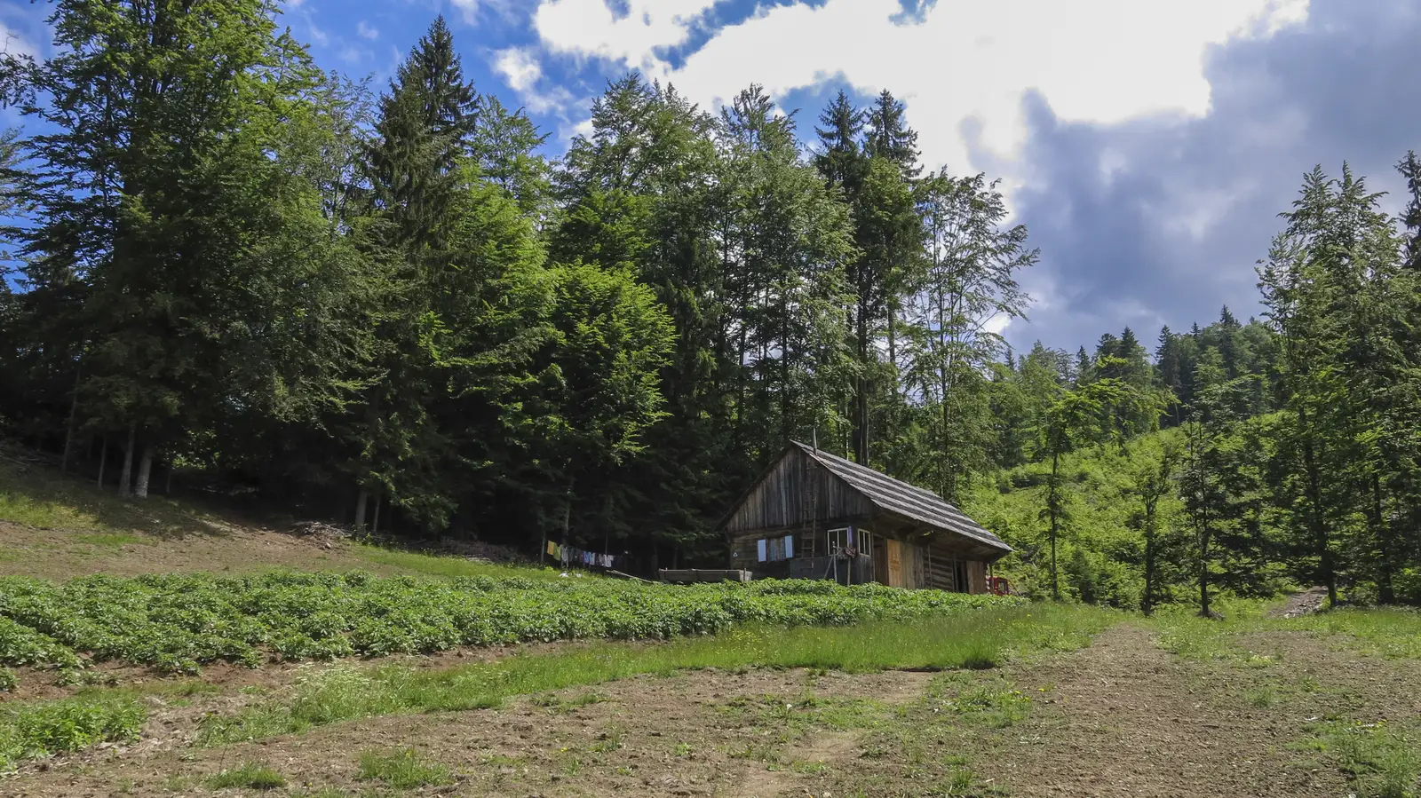 Dl. Stefăniţei - V. Fundoaia - La Vălaie