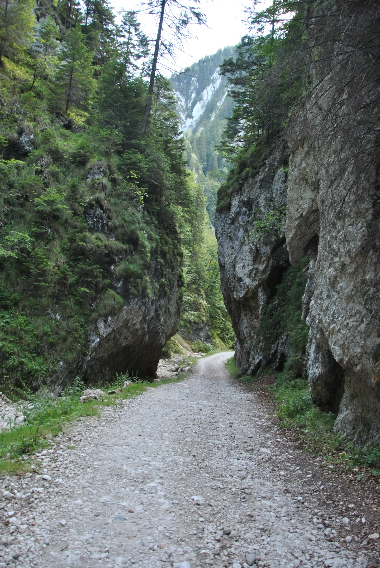 Prăpăstiile Zărneştilor - Cabana Curmătura