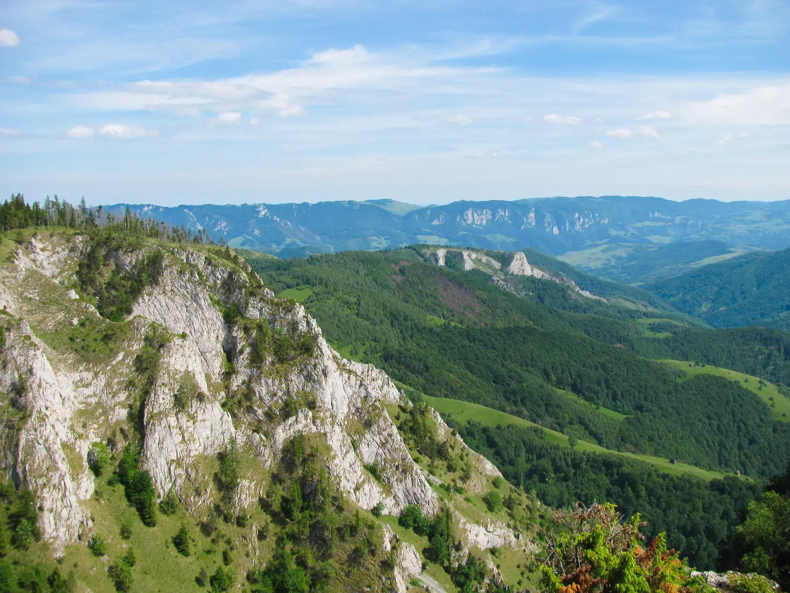 Runc - Vârful Scăriţa - Rezervaţia Scăriţa Belioara