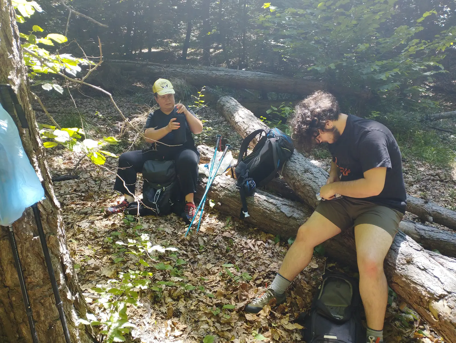 Tură după bureti cuci