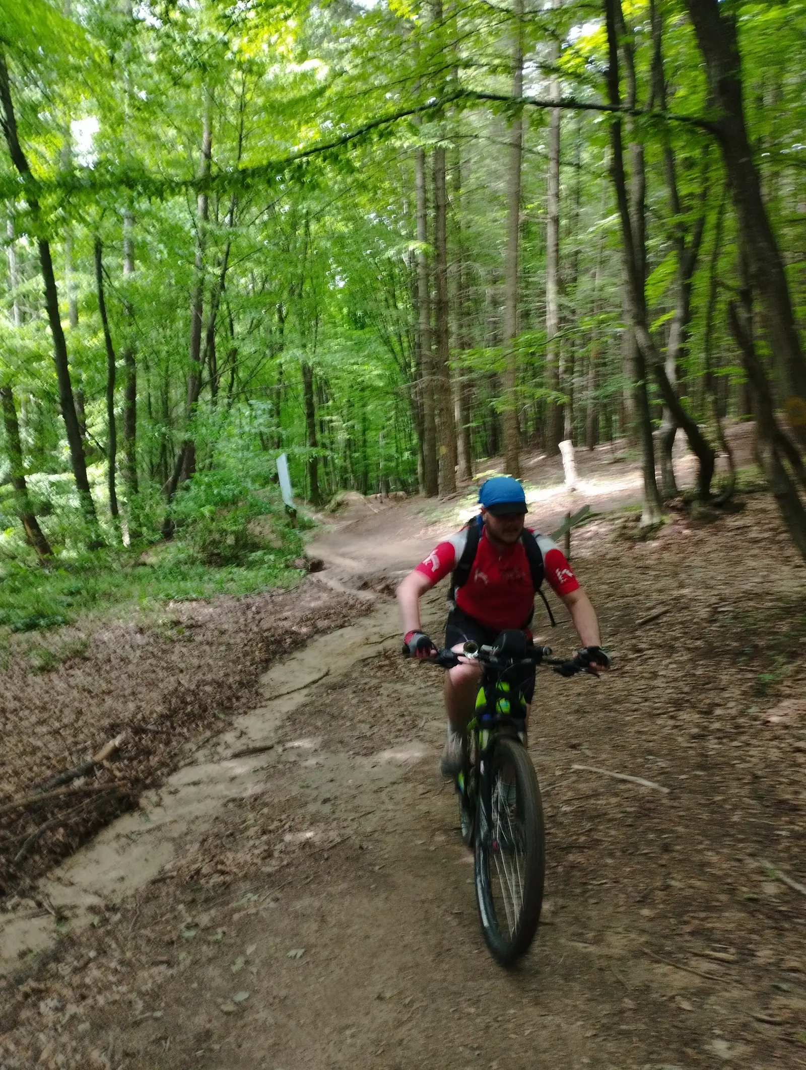 Lacul Micești 01.06.2025