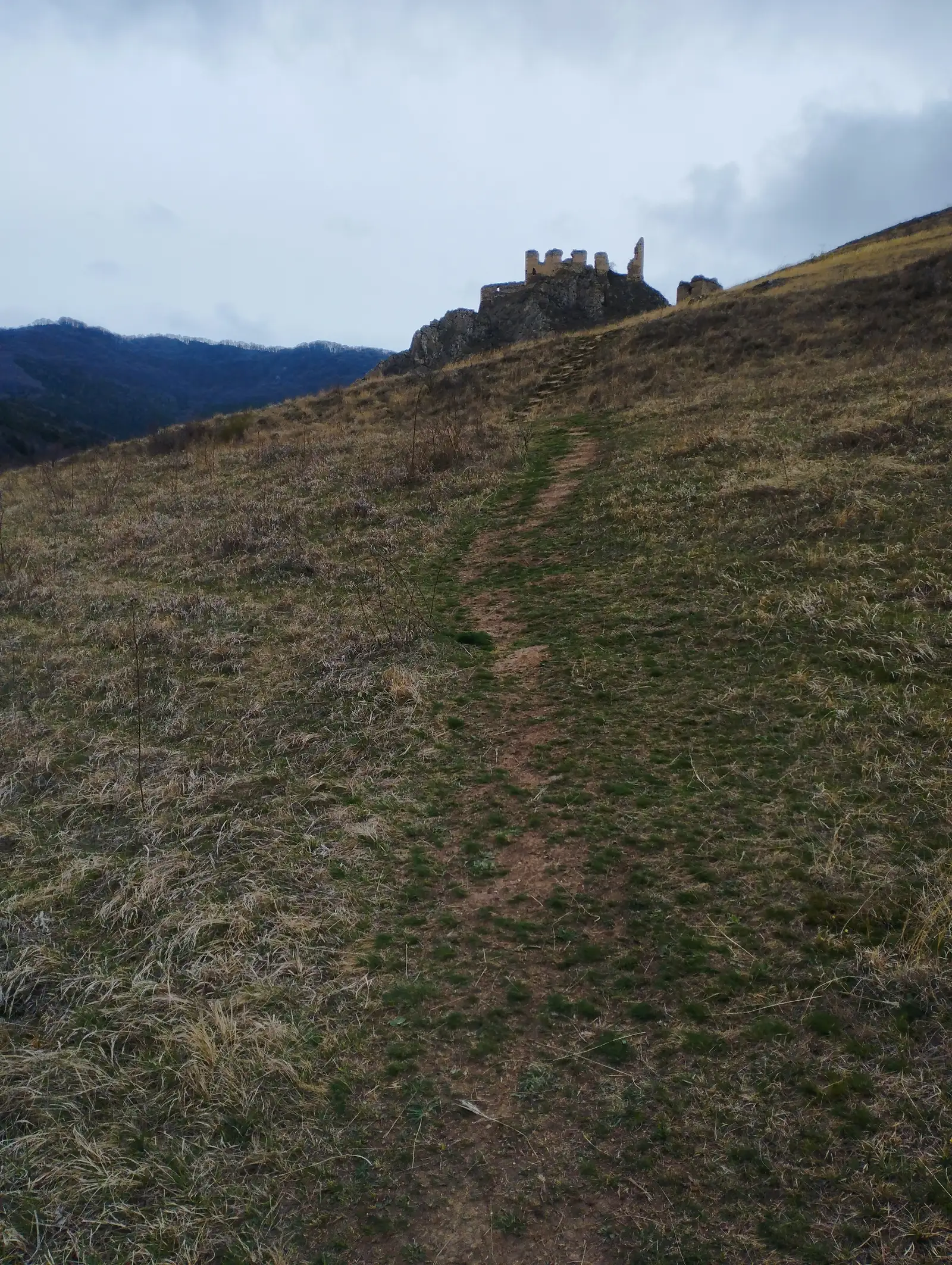 Coltesti -Cetatea Trascău -Coltesti 