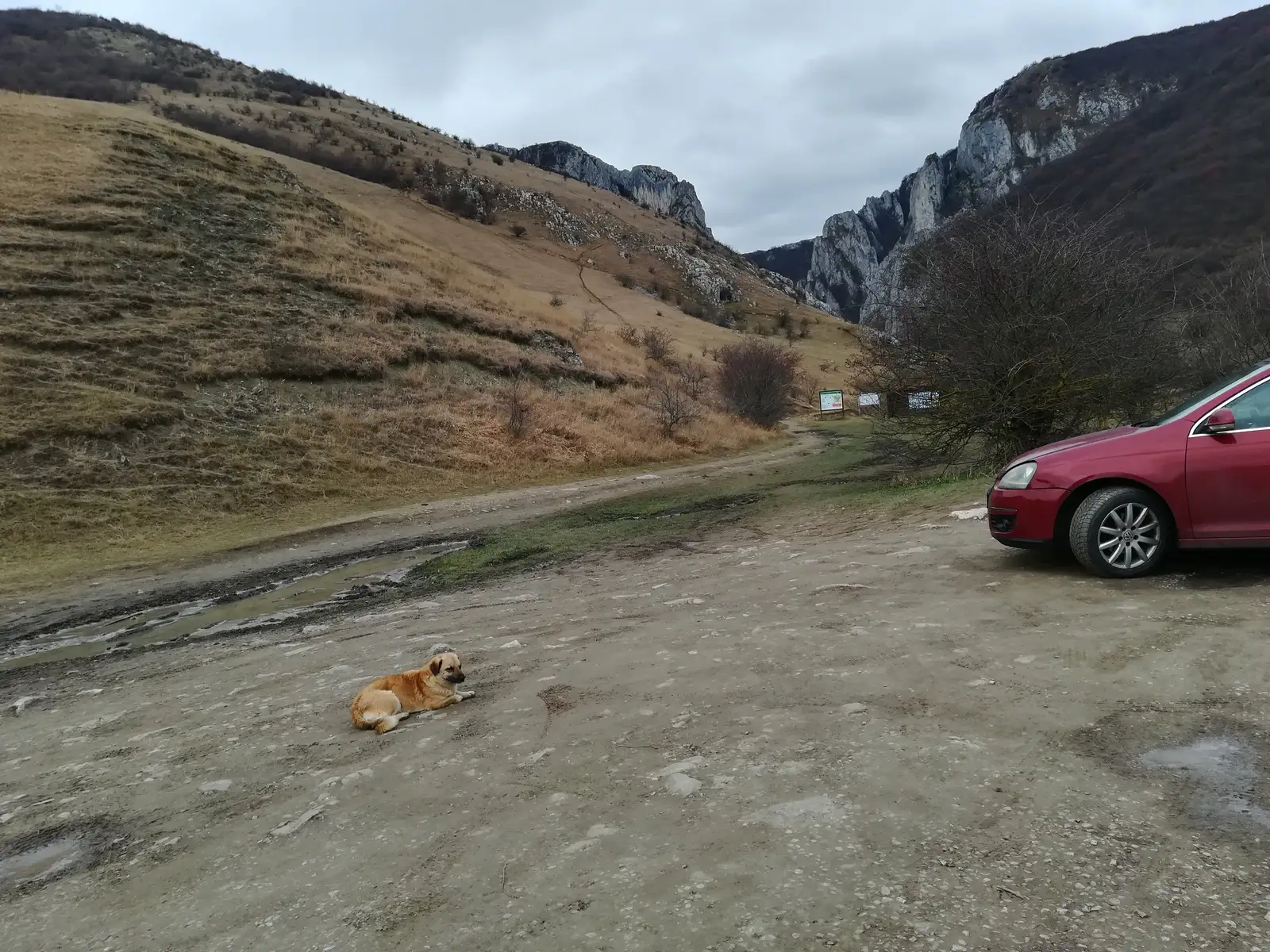 La Multi Ani România! 