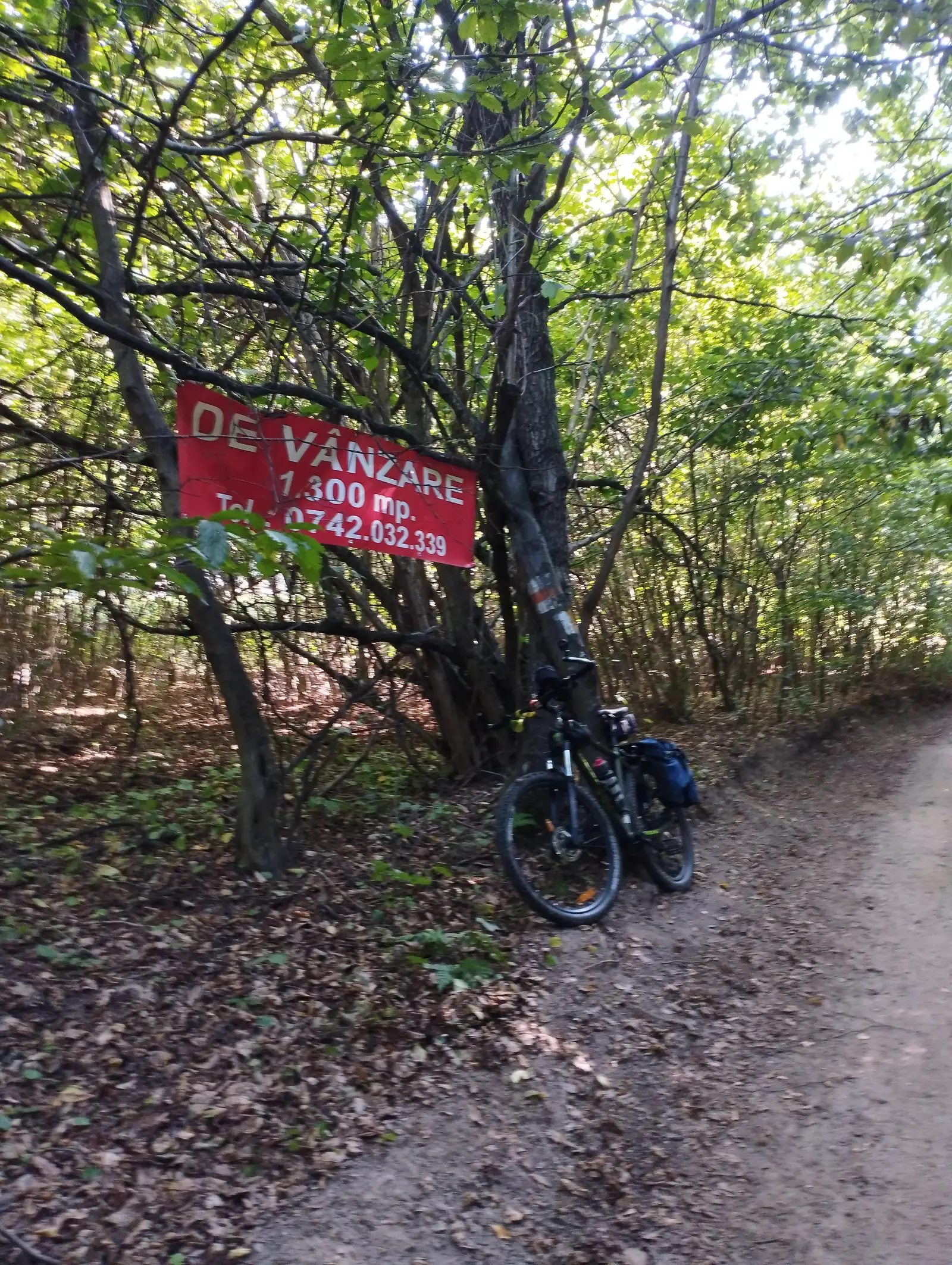 Plimbare duminicală la sud-vest de Cluj - 11.08.2024