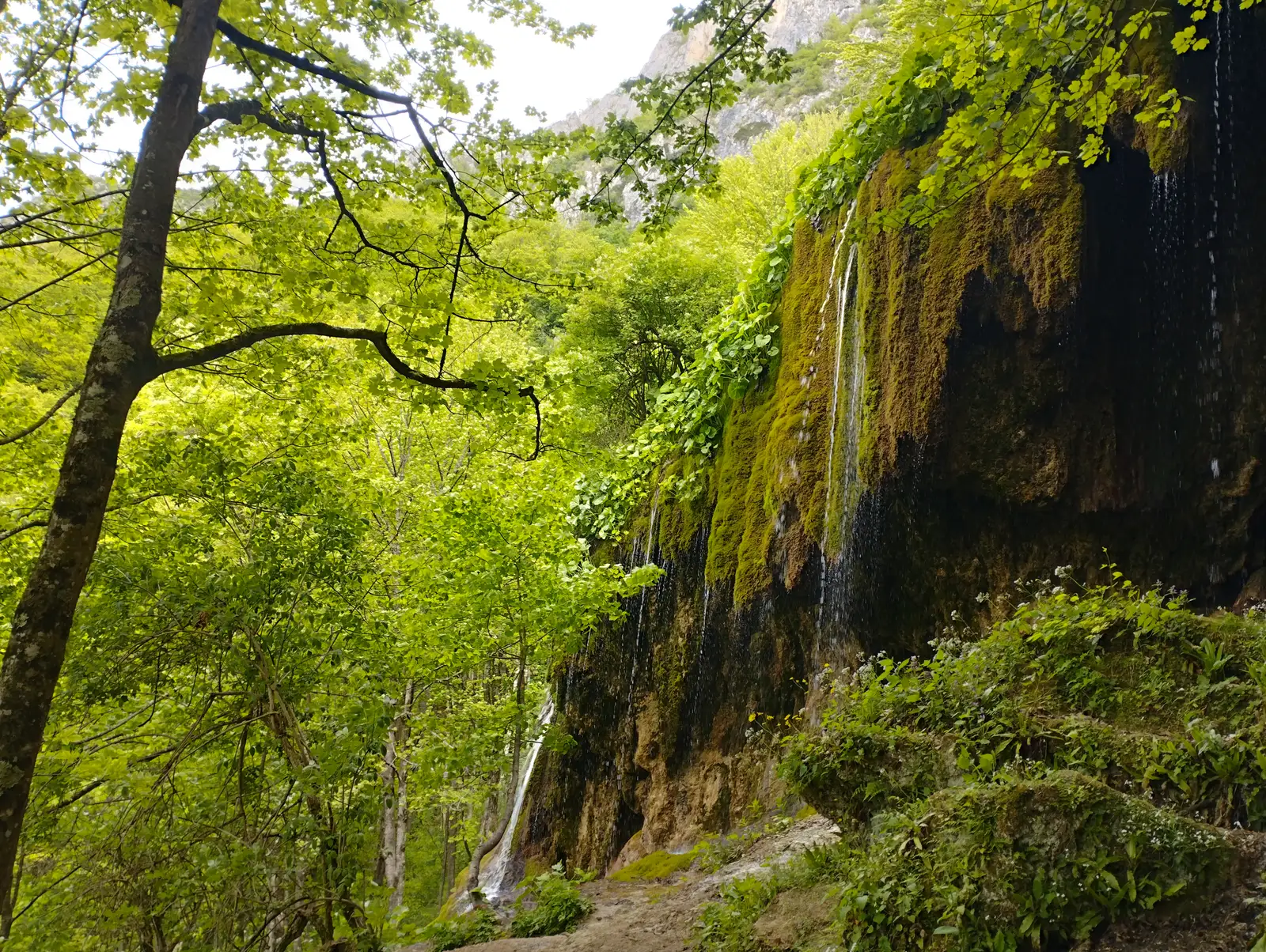 Cascada Șipote Sălciua 