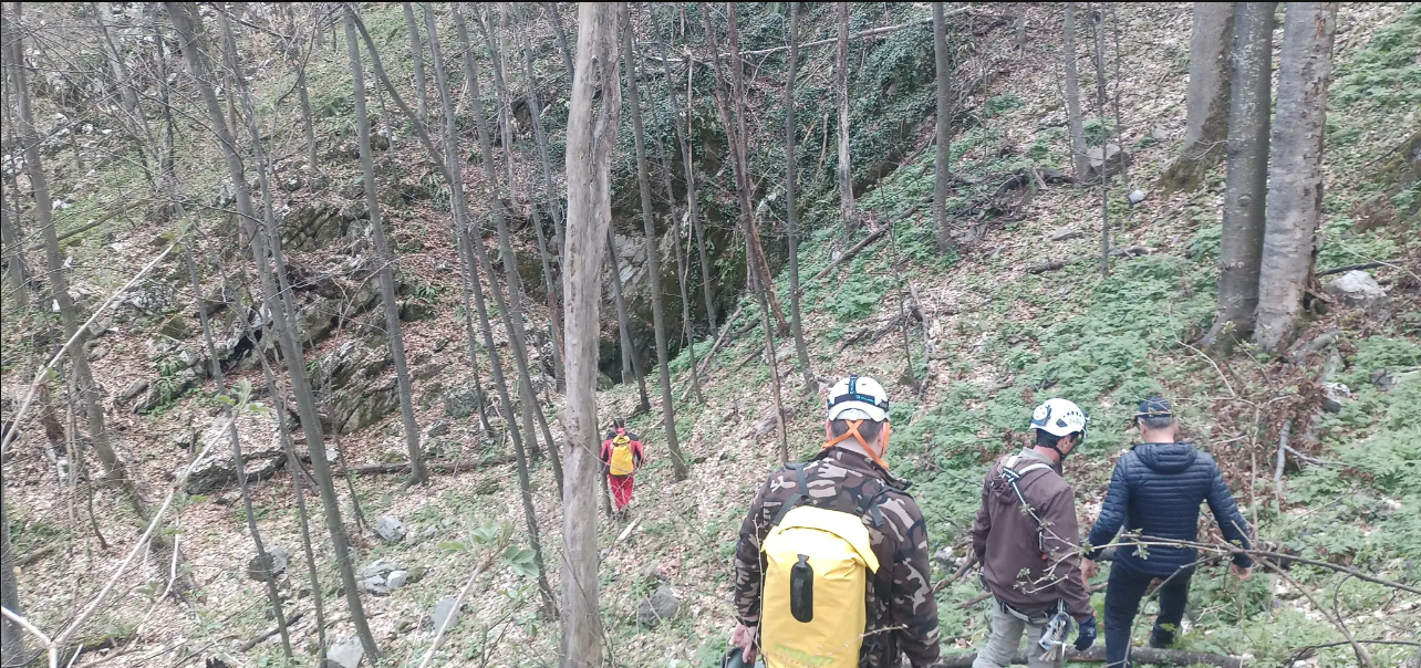 Glod - Poiana Mare - avenele de pe forestierul spre Motru Sec 