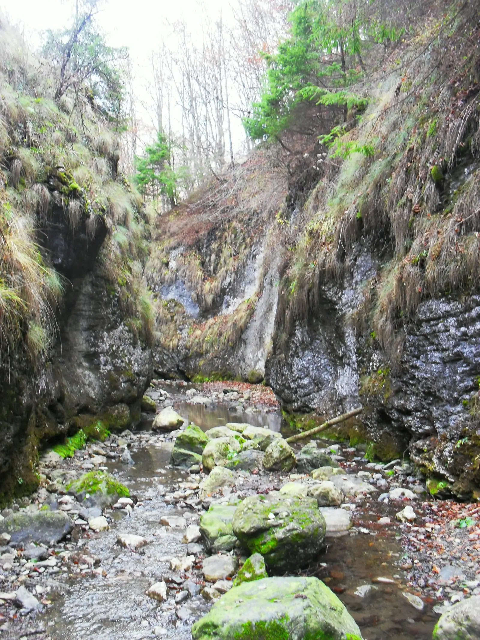 Circuit Cheile Geogelului din Brădești