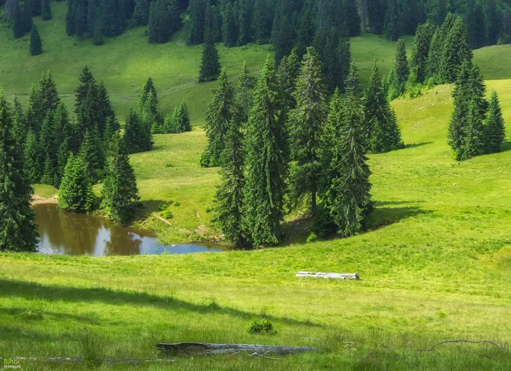 Traseu Glavoi - Padis  - Cabana Varasoaia - Cetatile Radesei