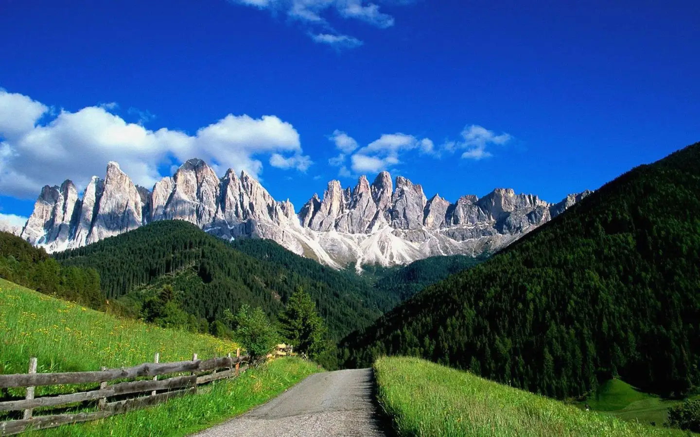 Toata Creasta Muntilor Maramures