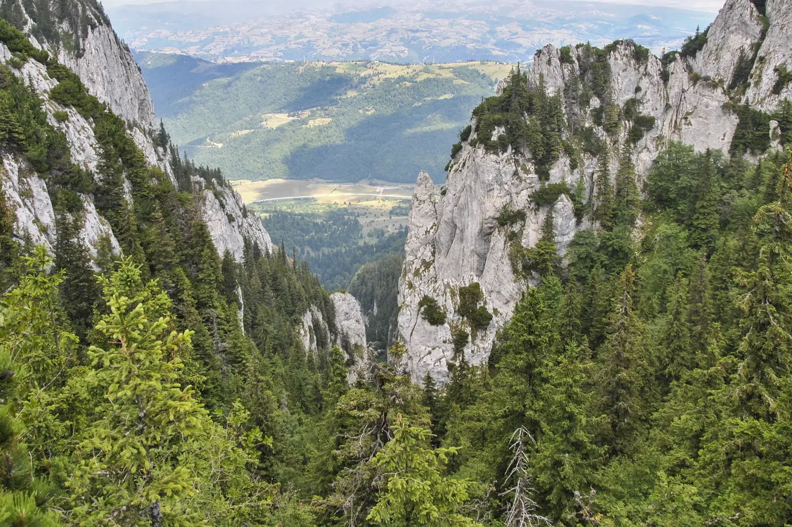 Zărneşti-Valea Crăpăturii-Cabana Gura Râului