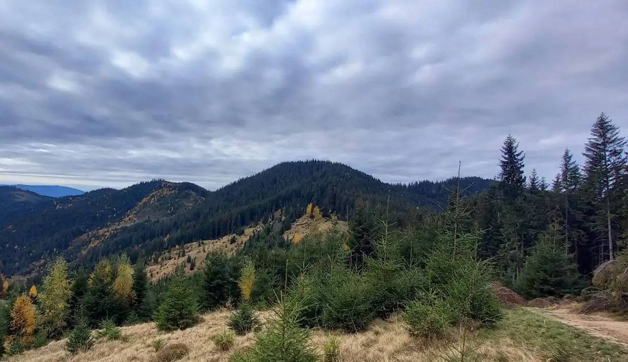 Muntii Stanisoarei (Ziua 2 - Vf. Bivolul - Muntele Lung)