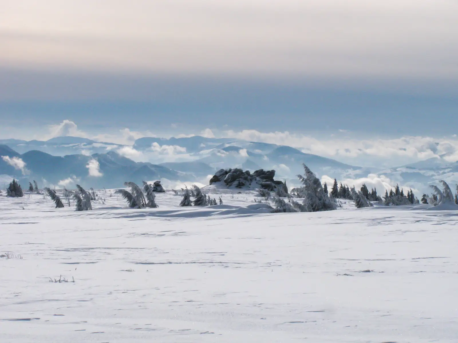 Staţiunea Muntele Băișorii - Vârful Neteda - Lupșa