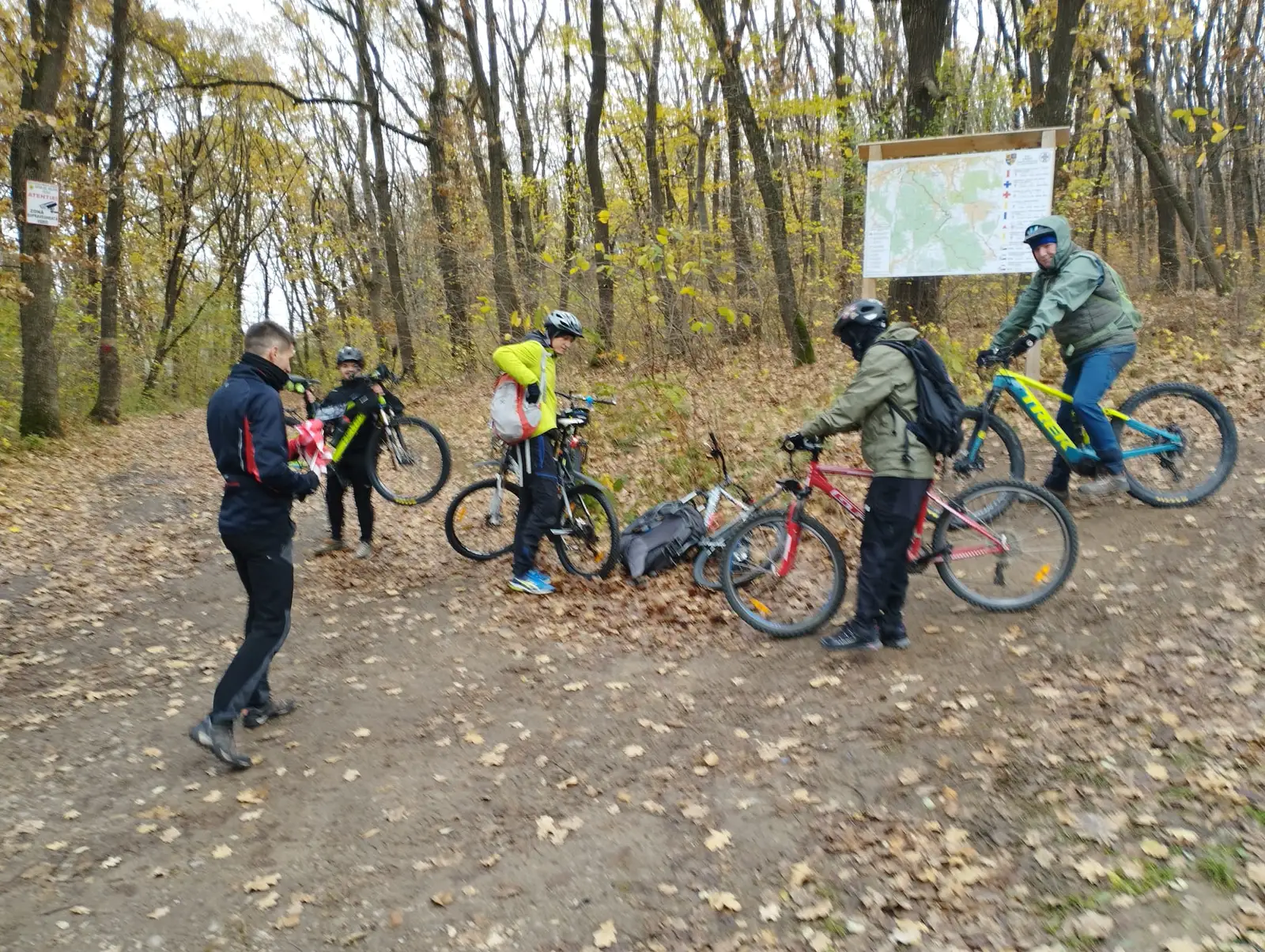 Faget de Toamna, 12.11.2023