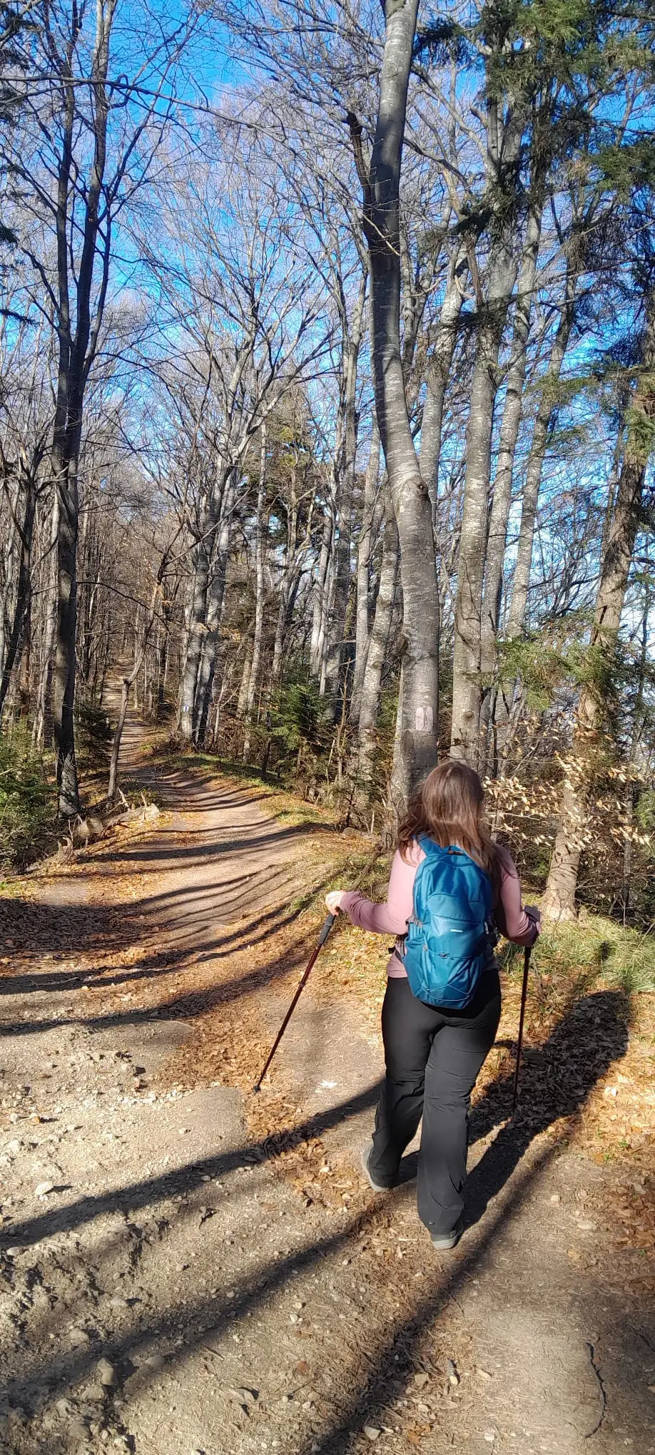 In cautarea trifoiului cu 4 foi 