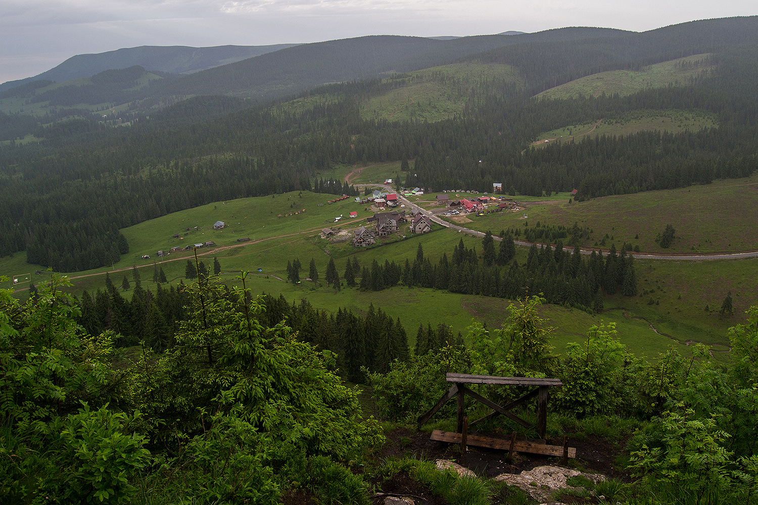 Padiș