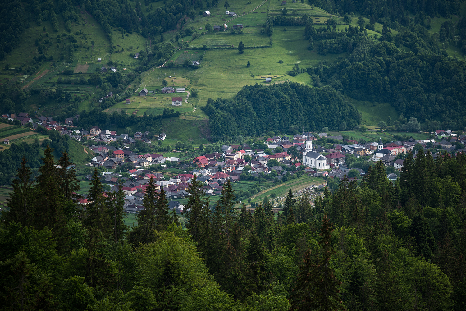 Munții Rodnei