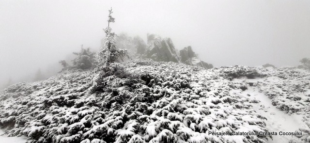 Creasta Cocoșului din M.ții Gutâi -loc emblematic al Maramuresului creasta cocosului