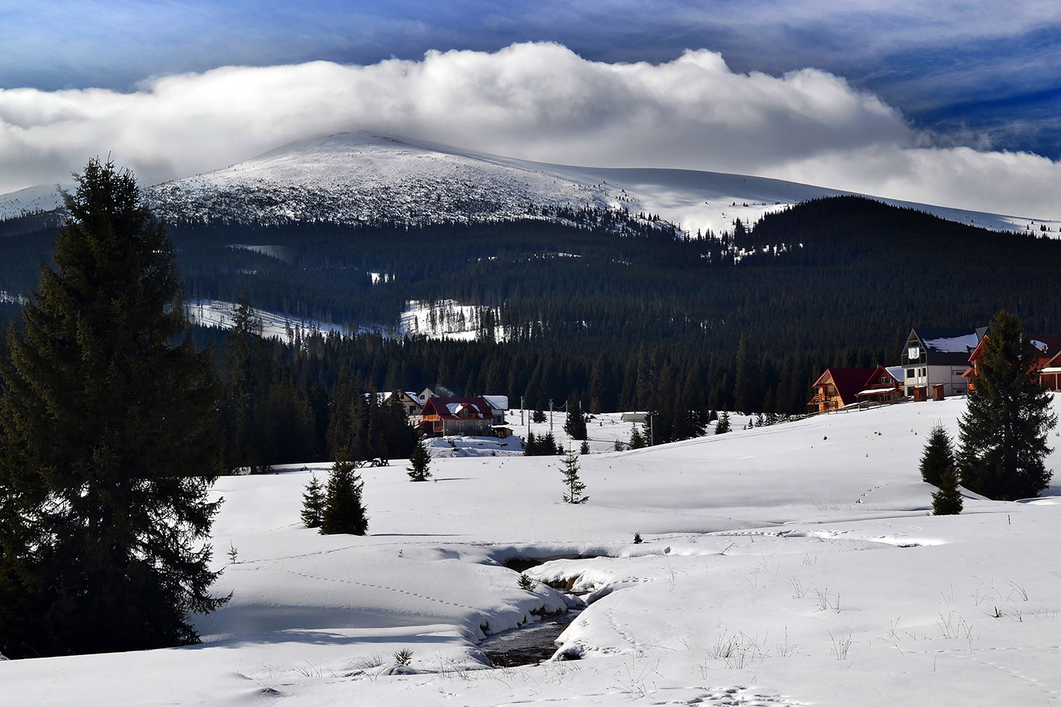 Munții Șureanu