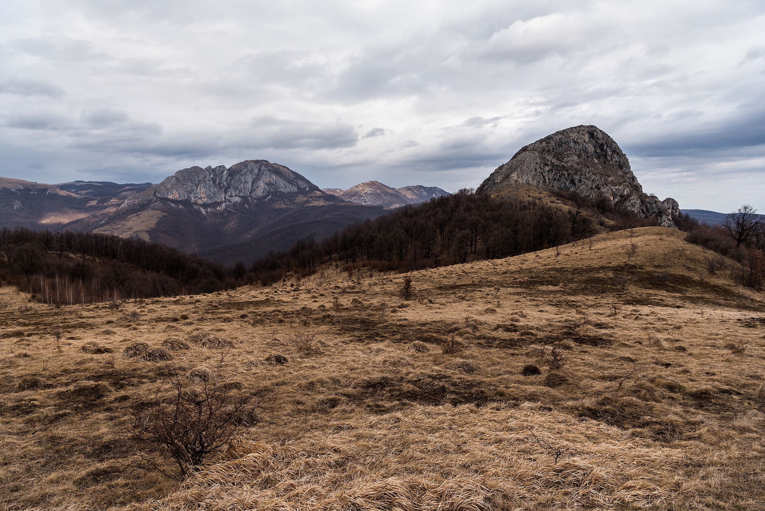 Munții Trascăului