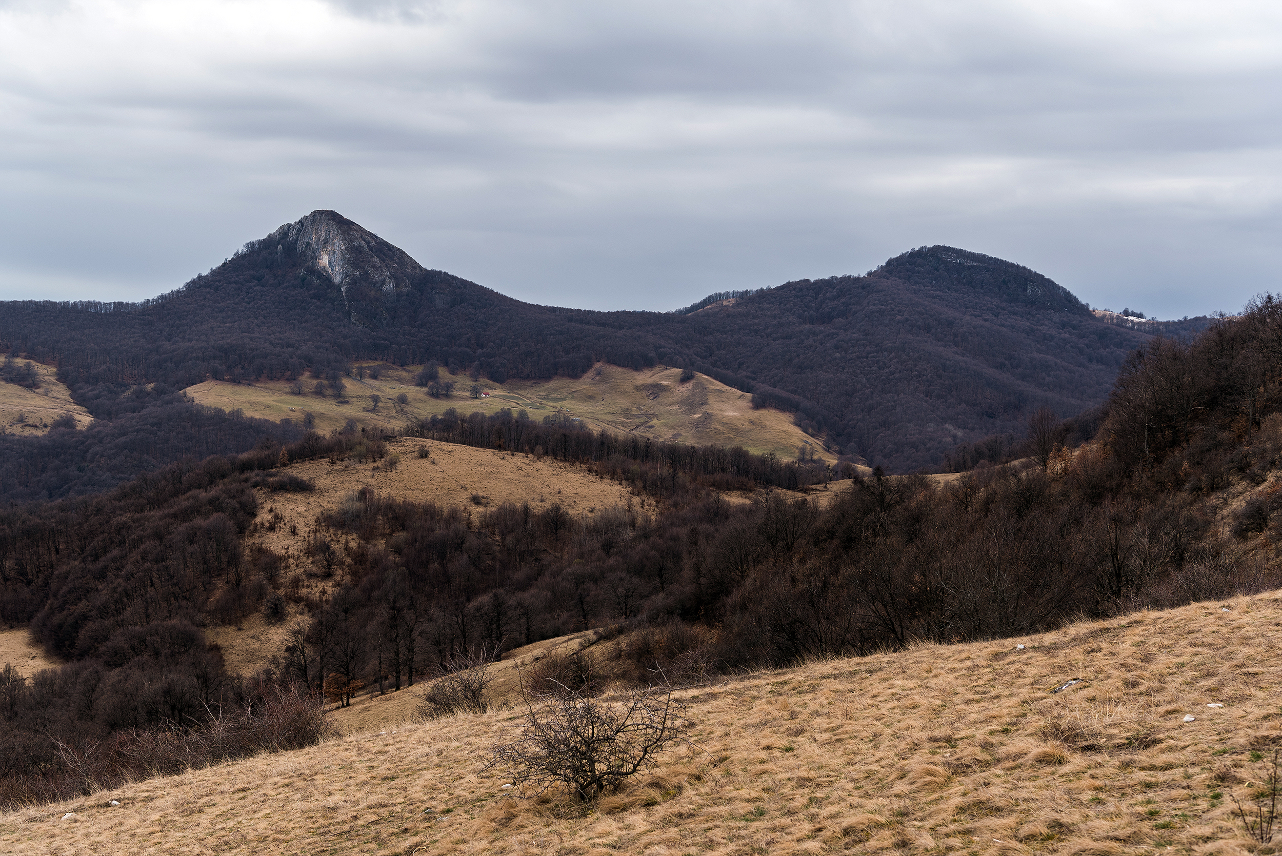 Munții Trascăului