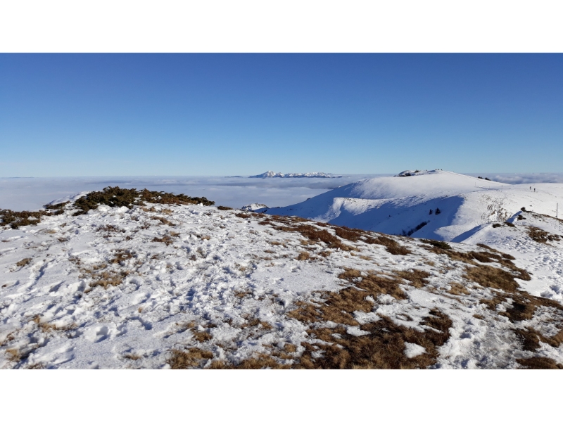 Privelistea de la golul alpin Privelistea de la golul alpin