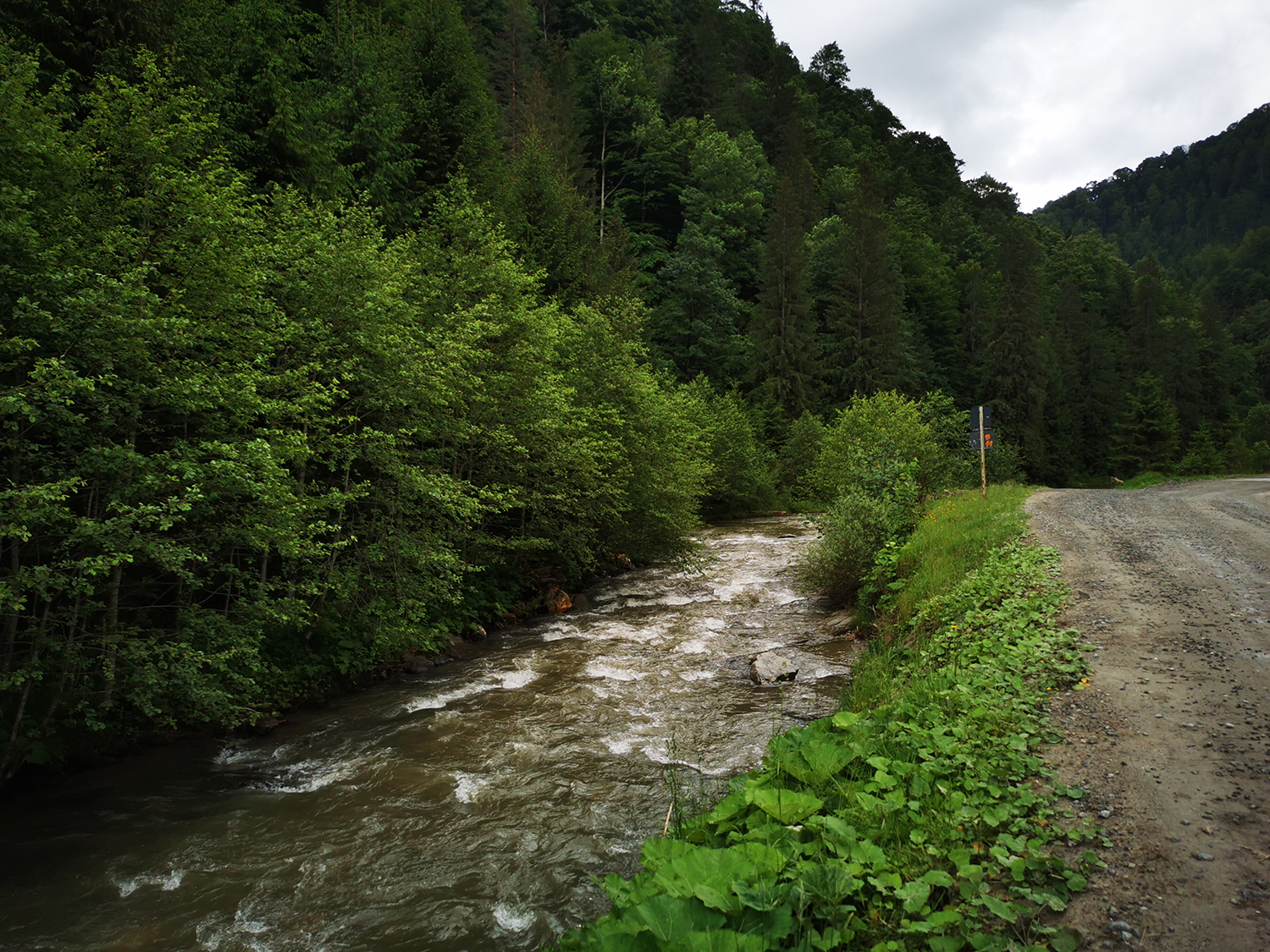 Munții Rodnei